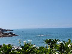 -广东惠东海龟国家级自然保护区
