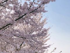-龙美术馆(西岸馆)