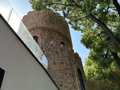 -J Create城市露营咖啡·简餐·宠物(上海动物园店)