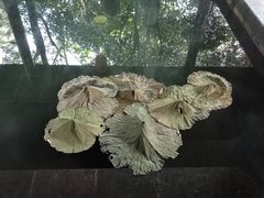 -西安国际创新人才交流中心•药浴温泉