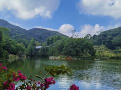 -广州市帽峰山景区