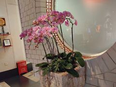 -黔香阁·味(花木店)