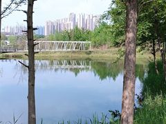 -眉山湿地公园(东坡区)