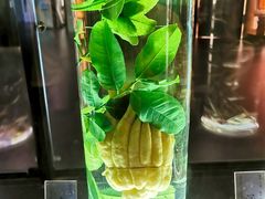 -广东中医药博物馆