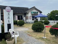 -莲花岛景区