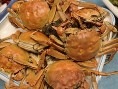 -正阳春鸭子楼(双港店)