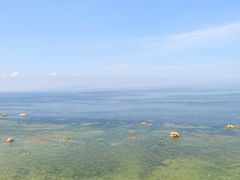 -养马岛旅游度假区