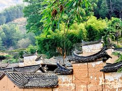 -杨家堂村