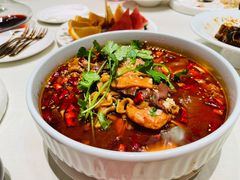 特色毛血旺-蝶园·装修中(BFC外滩金融中心店)