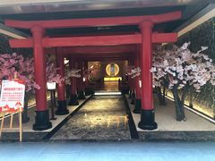 -蓝鲸湾汤泉(包河店)