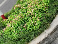 -砂之船奥特莱斯(合肥店)