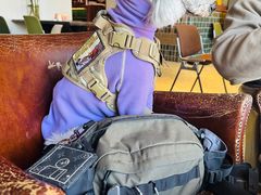 -Carmen卡门西班牙餐厅