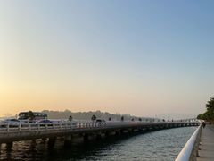 -演武大桥观景平台