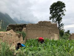 -萝卜寨羌文化生态旅游区