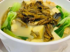 砂锅茨菇炖鳝排-好福记饭店(红梅公园店)