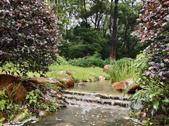 -东莞植物园