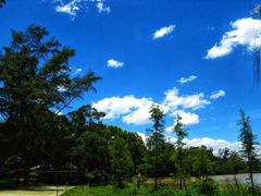 -南宁良凤江国家森林公园