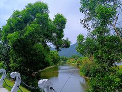 -西涌国际滨海旅游区