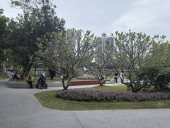 -四海公园(南山区)