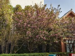 -郑州方特梦幻王国