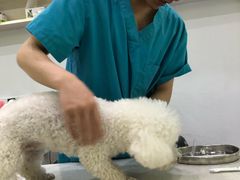 -贝利宠物医院·骨科·眼科·肿瘤转诊中心(南坪诊疗中心)