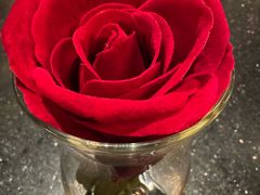 -华豫川酒家(大卫城店)