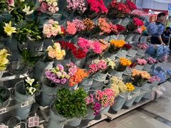 -盒马鲜生(岭南新世界店)