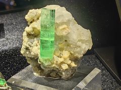 -湖南省地质博物馆