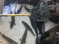 -风情丽江斑鱼火锅(孙家沟西南路80号店)