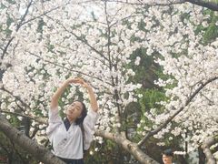 -武汉大学-樱园