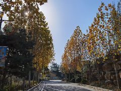 -石家庄市动物园