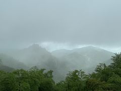 -莫干山风景区