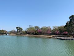 -苏州太湖国家湿地公园