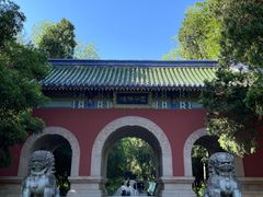 -灵谷景区