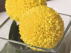 -炳胜公馆(珠江新城店)