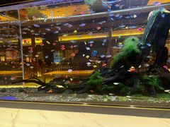 -大江户·温泉洗浴(浑南店)