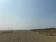 -合肥滨湖国家森林公园