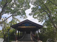-长广溪湿地公园