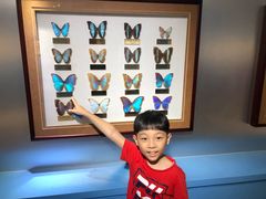 -上海昆虫博物馆