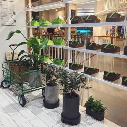 -悦诗风吟innisfree