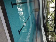 -上海浦东康桥绿地假日酒店