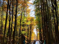 -青山湖景区