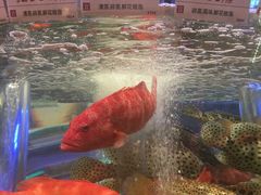 -陶陶居海鲜酒家(新马路店)