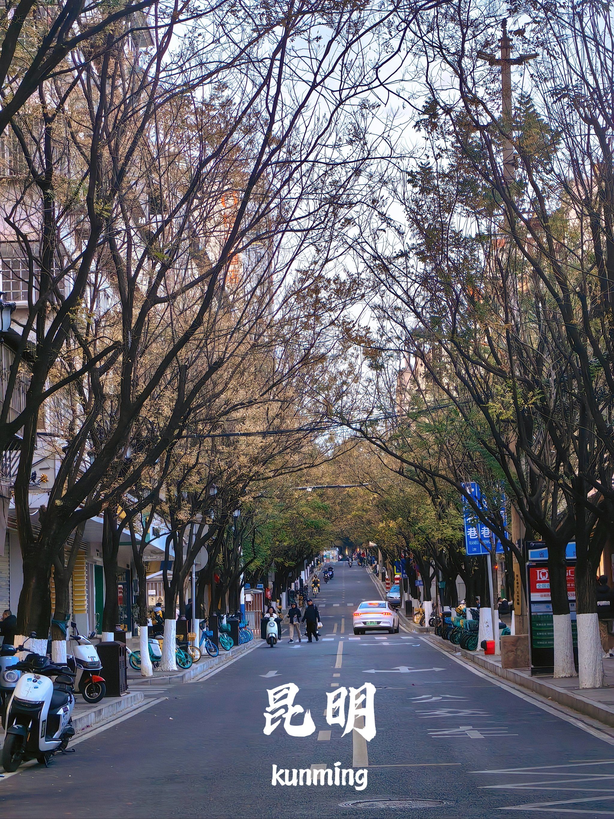 文林街确实很适合citywalk