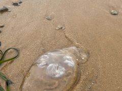 -青岛银沙滩