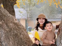 -千年银杏谷文化旅游区