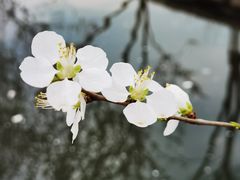 -三里河公园