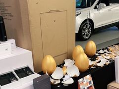 -河南威佳金凯汽车销售服务有限公司