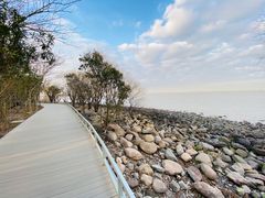 -上海吴淞炮台湾国家湿地公园