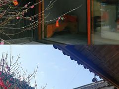-南海湾森林生态园